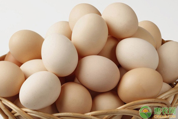 元旦时节，鸡蛋多少钱一斤？最新鸡蛋价格行情分析